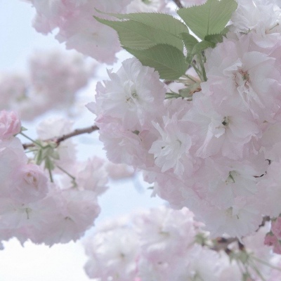 Furry数位绘画实用技巧兽圈群